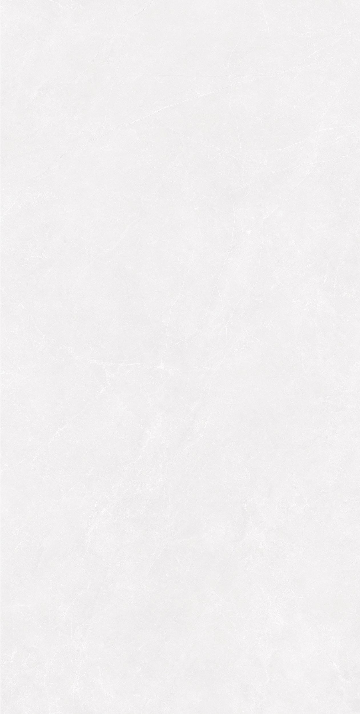 大衛(wèi)白產(chǎn)品圖